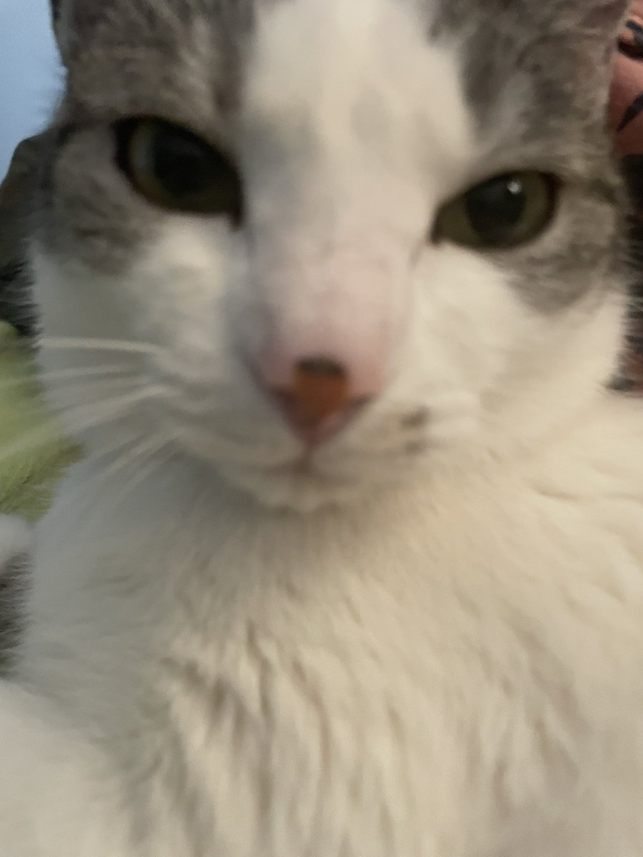 Nie znajdę słów, by wyrazić, jak bardzo jestem wdzięczna za wsparcie dla Teddy i wyrozumiałość dla mnie❤️ To dla mnie szczególnie ważne, bo od 2 lat większość wydatków pochłania leczenie mojej mamy. Dzięki Wam zrobiło mi się po prostu lżej na sercu. 🐾