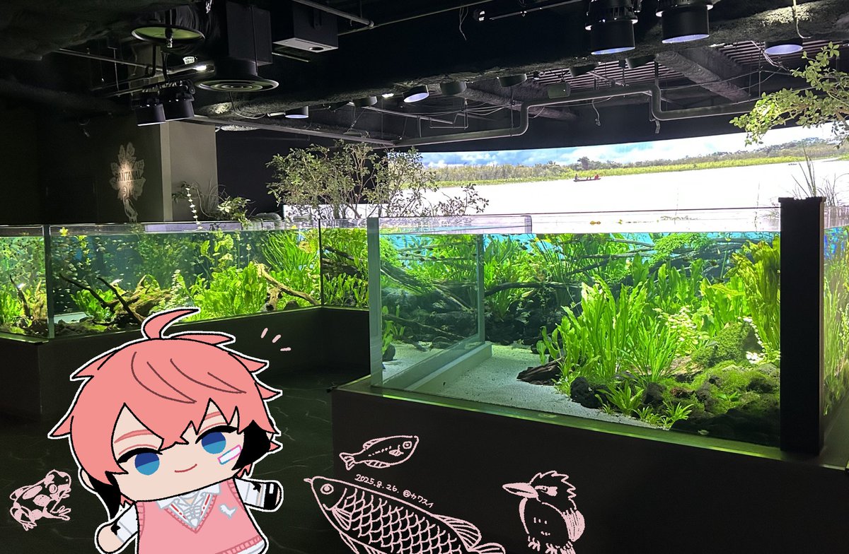 今日放課後オリエンスあるのが嬉しすぎてどうにかなりそうだったので突発でカワスイ行ってきた〜めちゃくちゃ楽しかった