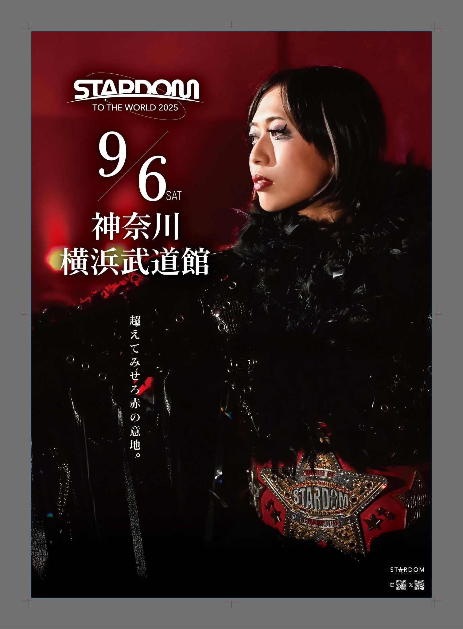 スターダム STARDOM VIP席特典 直筆サイン入りポスター 日本武道館 スターダム✪STARDOM on X: 