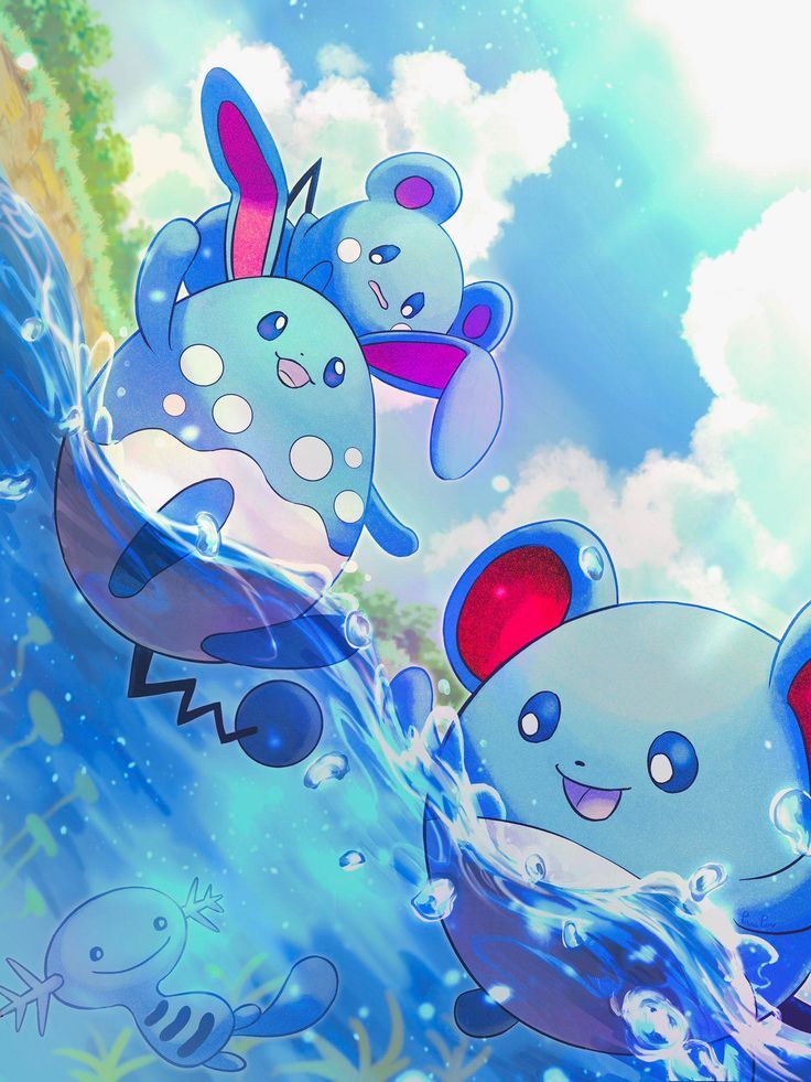 アクア (@aquaazumarill) on Twitter photo 