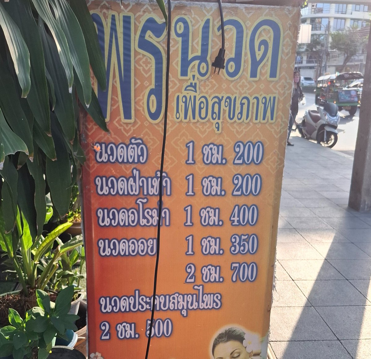 หมีติดออย tweet media