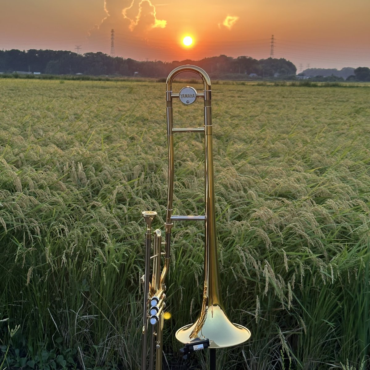久々の田んぼスタジオ
八千代の稲は応援歌を聞きながら育っています🌾
#バルブトロンボーン
#田んぼスタジオ
