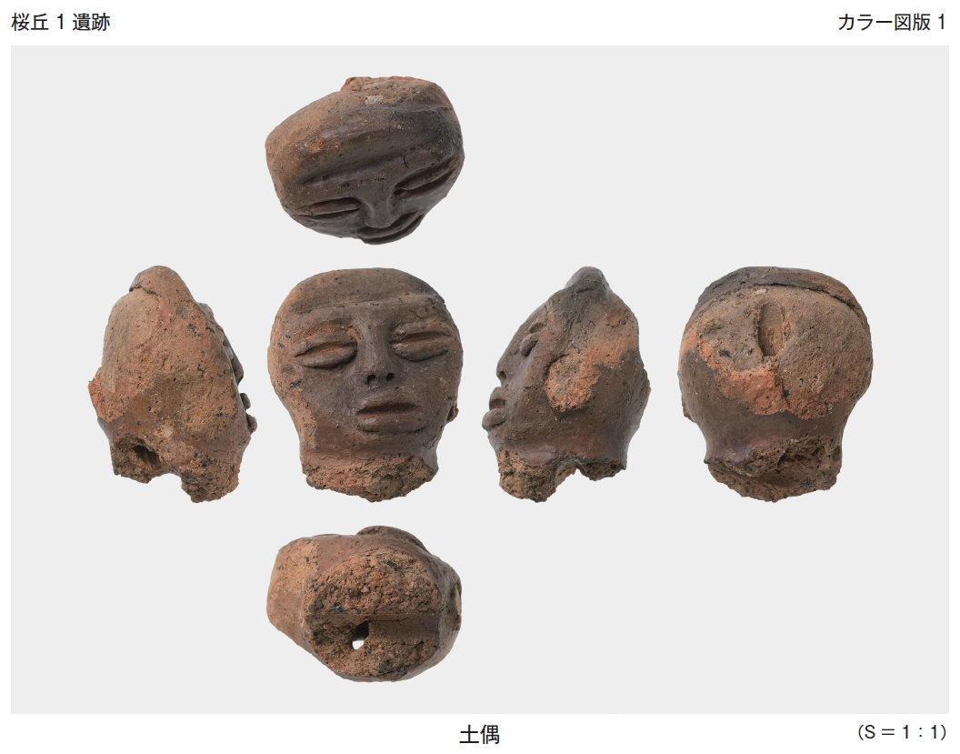 八条遺跡 八條遺跡（八潮市） ｜ただいま発掘中！｜ 埼玉県埋蔵文化財調査