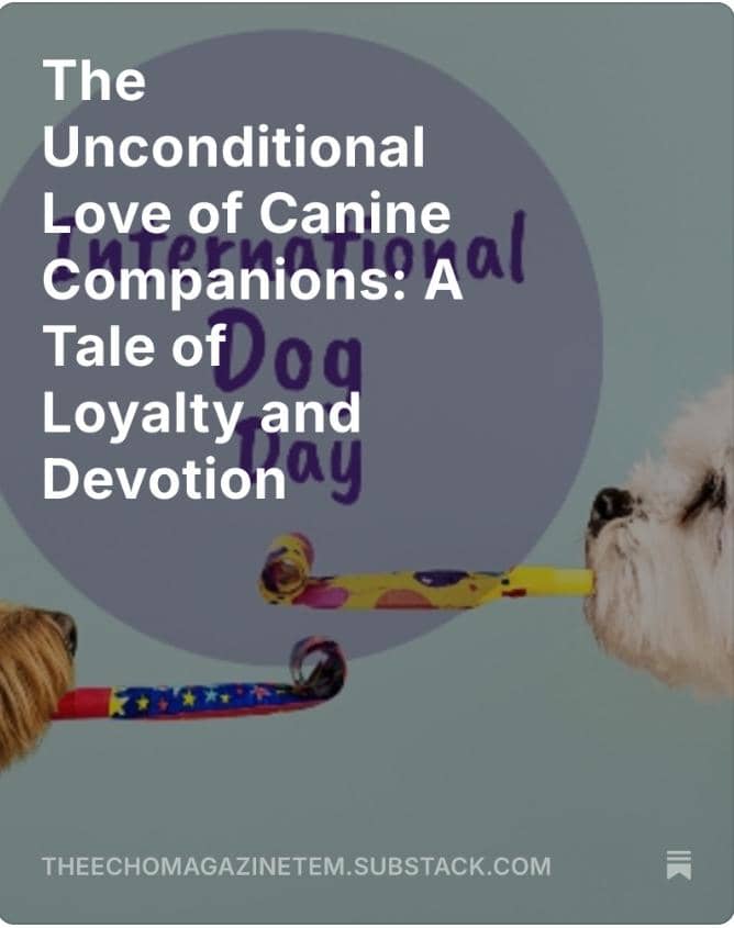 The_Echo_Mag's tweet photo. Paws, Hearts &amp; Loyalty 🐾  
Celebrate the furry friends who love us the most — read “The Unconditional Love of Canine Companions” now!  
Read here: https://t.co/LXBxClxNfC https://t.co/SA0sTmurMz