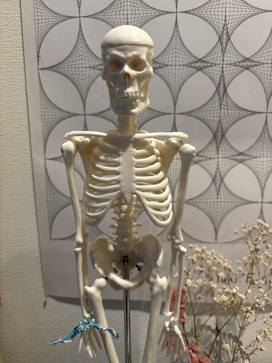 今日は腰痛と肩こりの研修で、この方も同席してもらいました。

途中で倒れて頭蓋骨が外れ中の脳みそが出ると言うハプニングもありましたが、説明はしやすかったです^_^

昨日娘が研修に向けて、ミサンガを巻いてくれました♪

#開業保健師