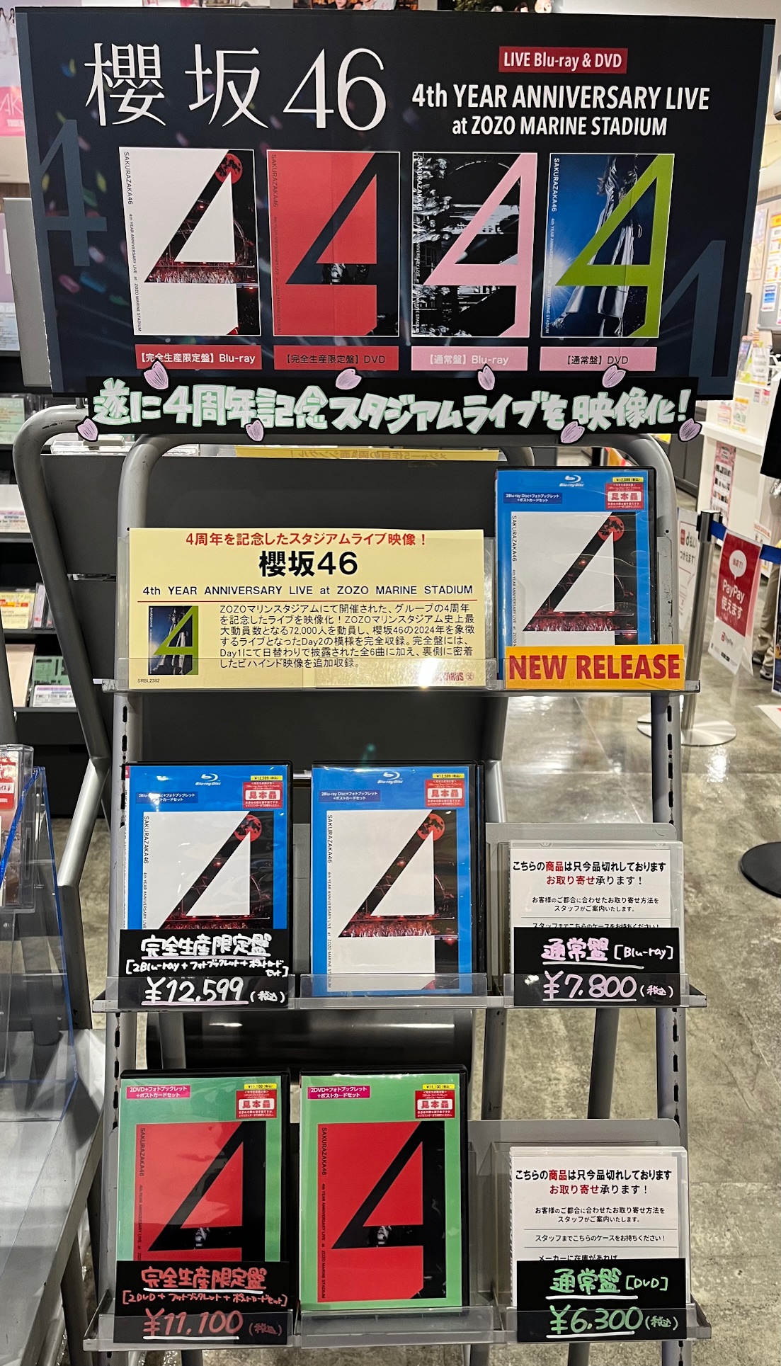 NEE 初回限定盤 DVD付き タワーレコード特典ポストカードセット付 最終価格 ZEROBASEONE THE 1ST FULL ALBUM [NEVER SAY NEVER] 日本限定