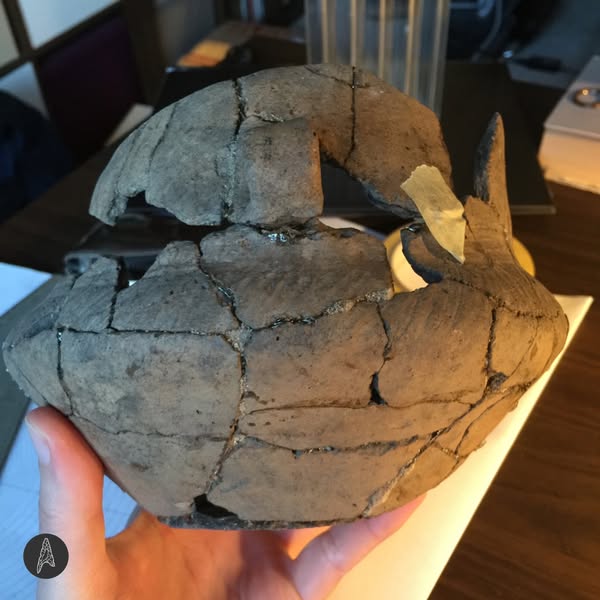 Tip of the day☝:
Always draw the most difficult objects first thing in the morning! That means anything that is heavily fragmented or fragile, heavily decorated or very distorted.#photovsdrawing #archäologischeillustrationen #archaeology #facts #archaeologicaldrawing #ArchIllu