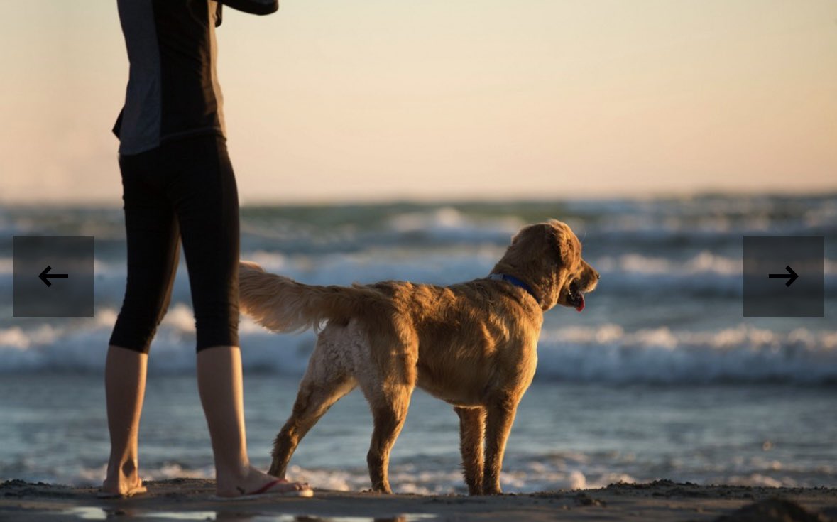 Rodos Palace | abav² tweet media