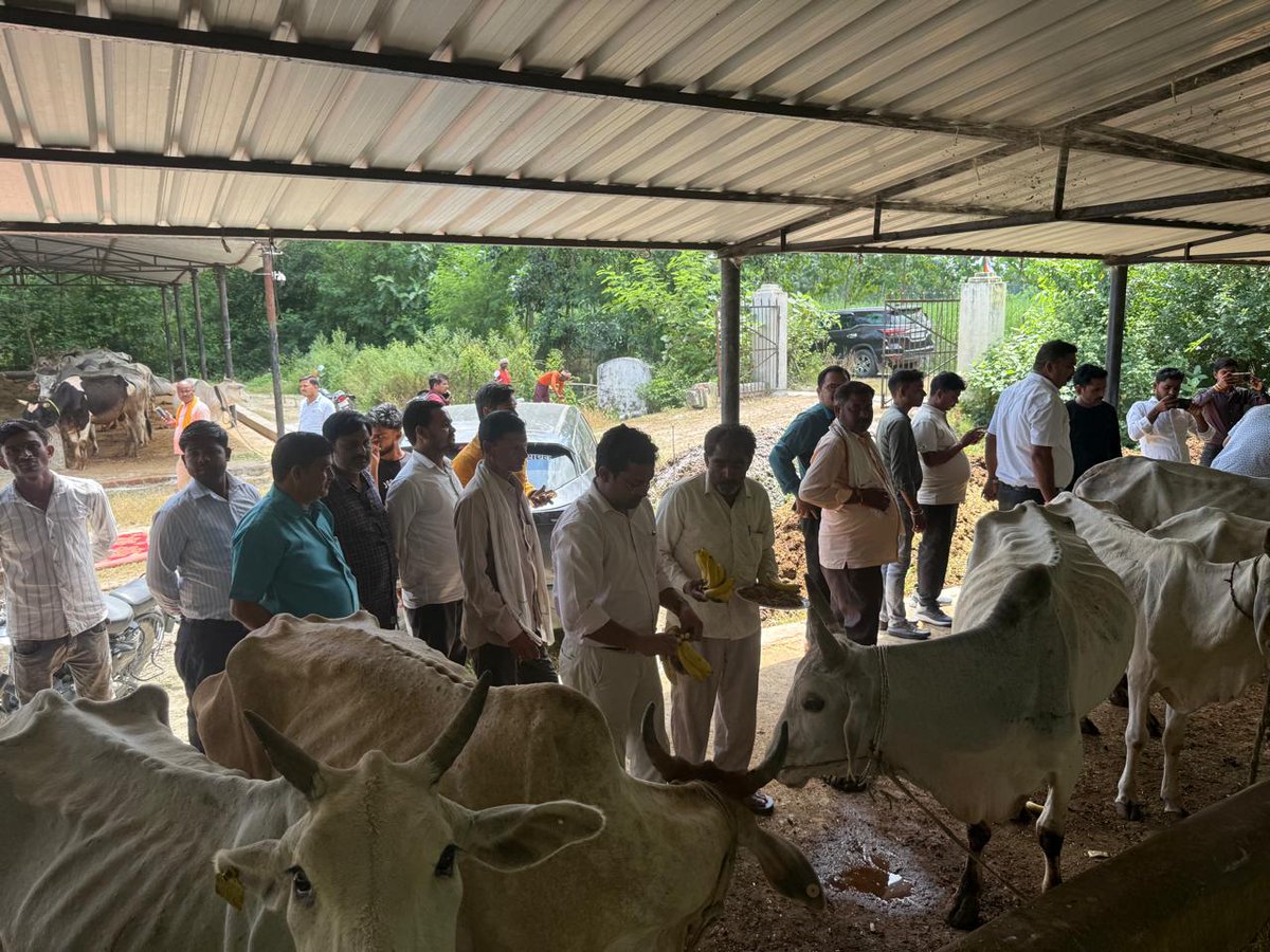BlockReusa's tweet photo. दिनांक 23.08.2025 को ग्राम पंचायत अकसोहा के अस्थाई गौशाला में आयोजित भंडारा कार्यक्रम में माननीय विधायक जी, सेवता  व  खंड विकास अधिकारी, रेउसा द्वारा प्रतिभाग किया गया https://t.co/0EbjPaehWC