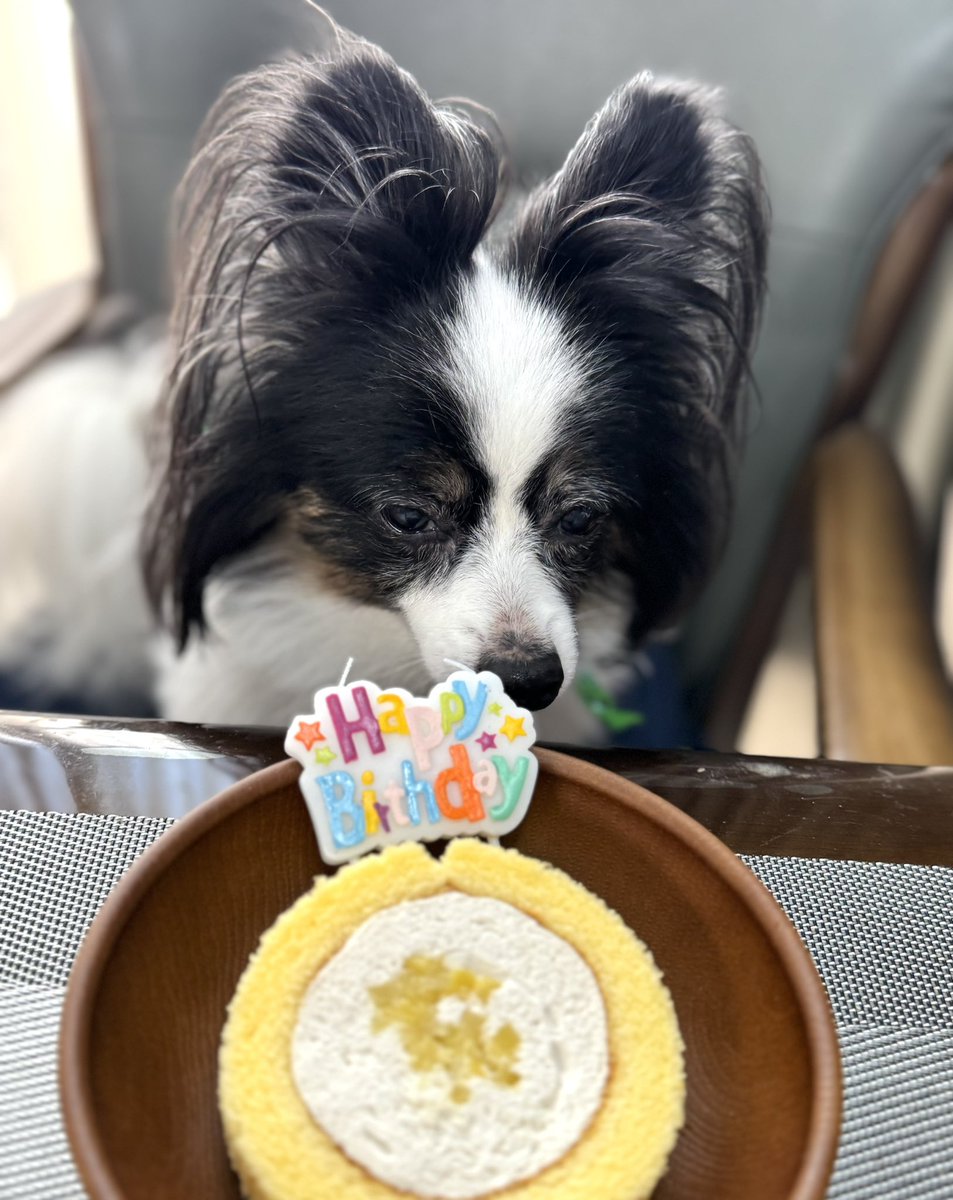 sachie (@sachie) / X