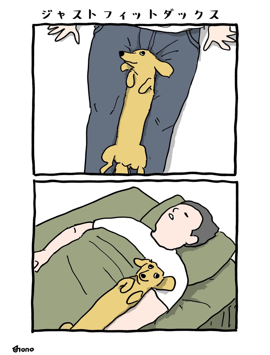 #世界犬の日 
（1/3）