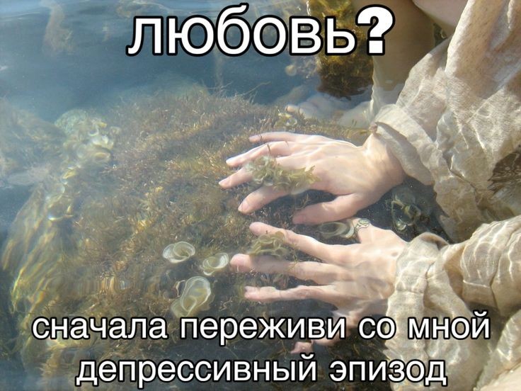 ♦️𝕹𝖔𝖙𝖈𝖎𝖛𝖎𝖑𝖑𝖊♦️ (@notciville) on Twitter photo 