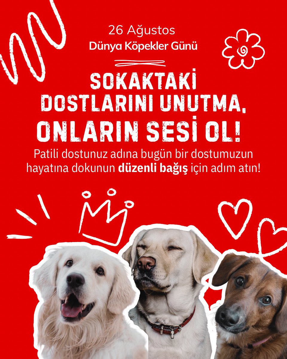 26 Ağustos Dünya Köpekler Günü 🐾* 
Bugün sadece patili dostlarımızı sevmekle kalmayalım, sokakta yaşam mücadelesi veren binlercesi için de bir adım atalım.  
 
📲 SMS ile Bağış: 2645’e HAÇİKO yazıp gönder → 200 TL bağışta bulunabilirsiniz.