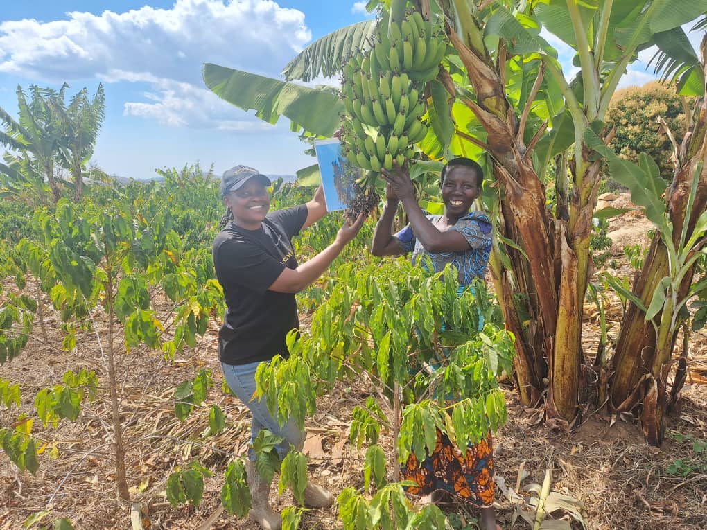 SolidaridadECA's tweet image. Sifa Nyingi is transforming coffee farming in Bahanko AMCOS, 🇹🇿. With @EUinTZ -funded support via @SolidaridaECA  #PACEProject, she&apos;s boosting yields, income &amp;amp; resilience through climate-smart, women-led farming. 
#WomenInAg #ClimateAction #CoffeeFarming #GRP