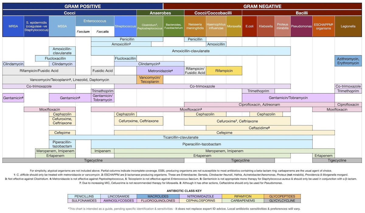 Top Biomedical Science tweet media