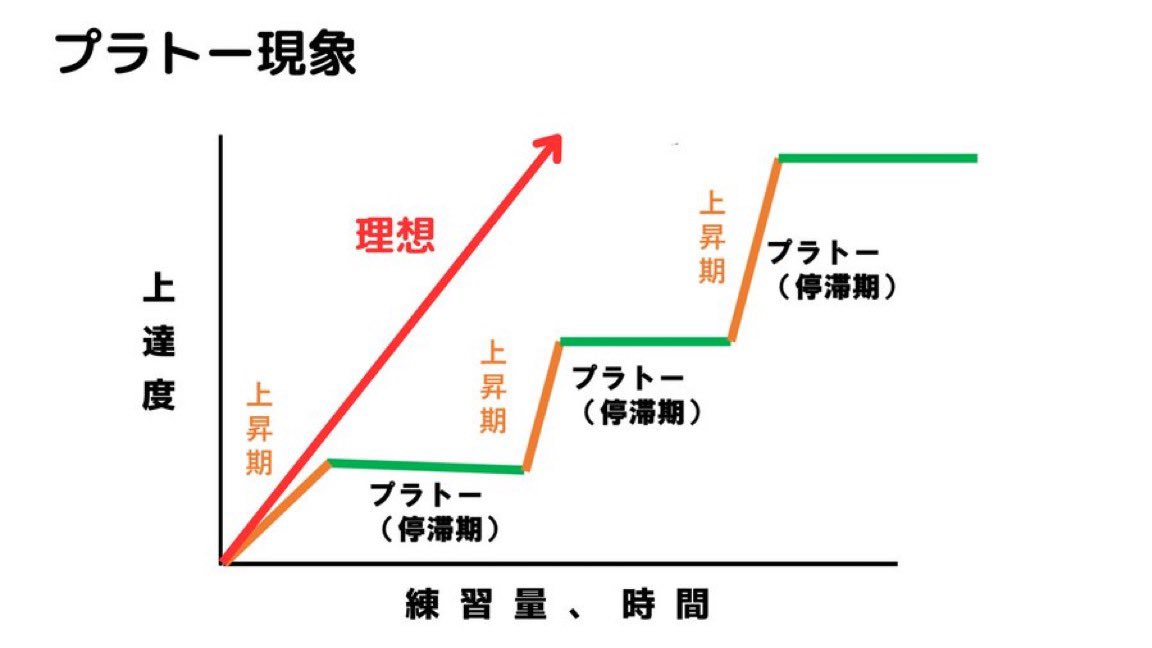 元ダーツの日本代表ゼロから再スタートするPOPO tweet media