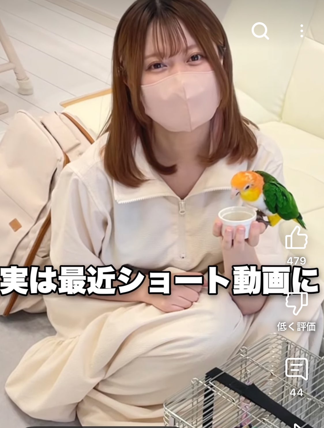 ★ 小鳥ちゃん　信州産生あんず 信州あんず 杏の森 信州長野市のお土産 | 47CLUB – 名産・特産品