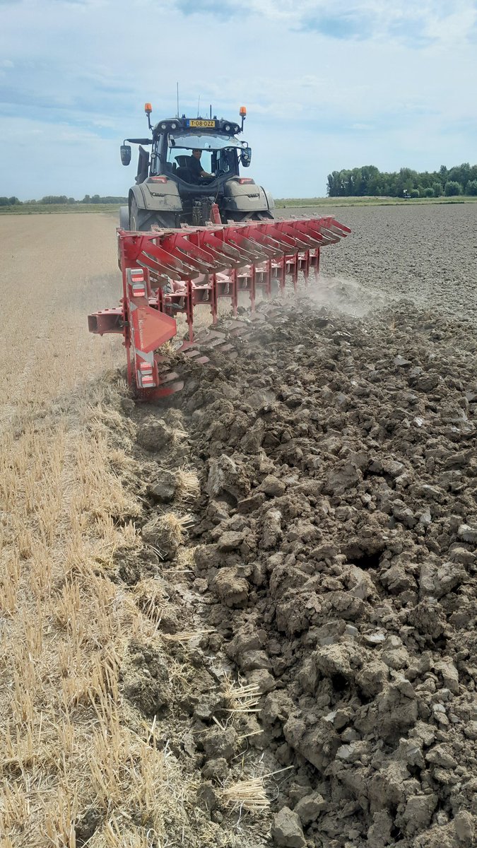 Michael Schippers tweet media