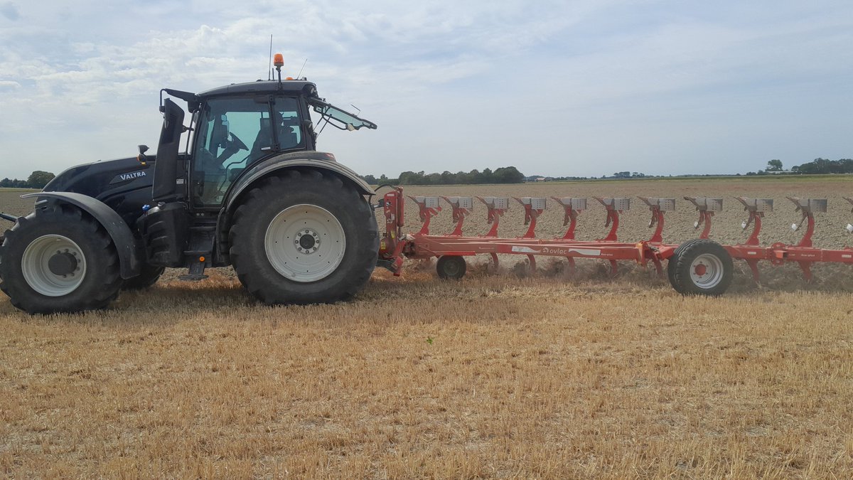 Michael Schippers tweet media