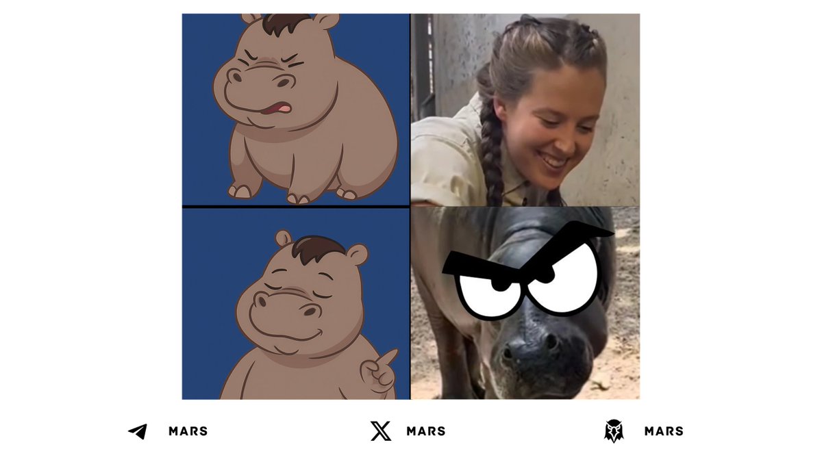 MARS tweet media