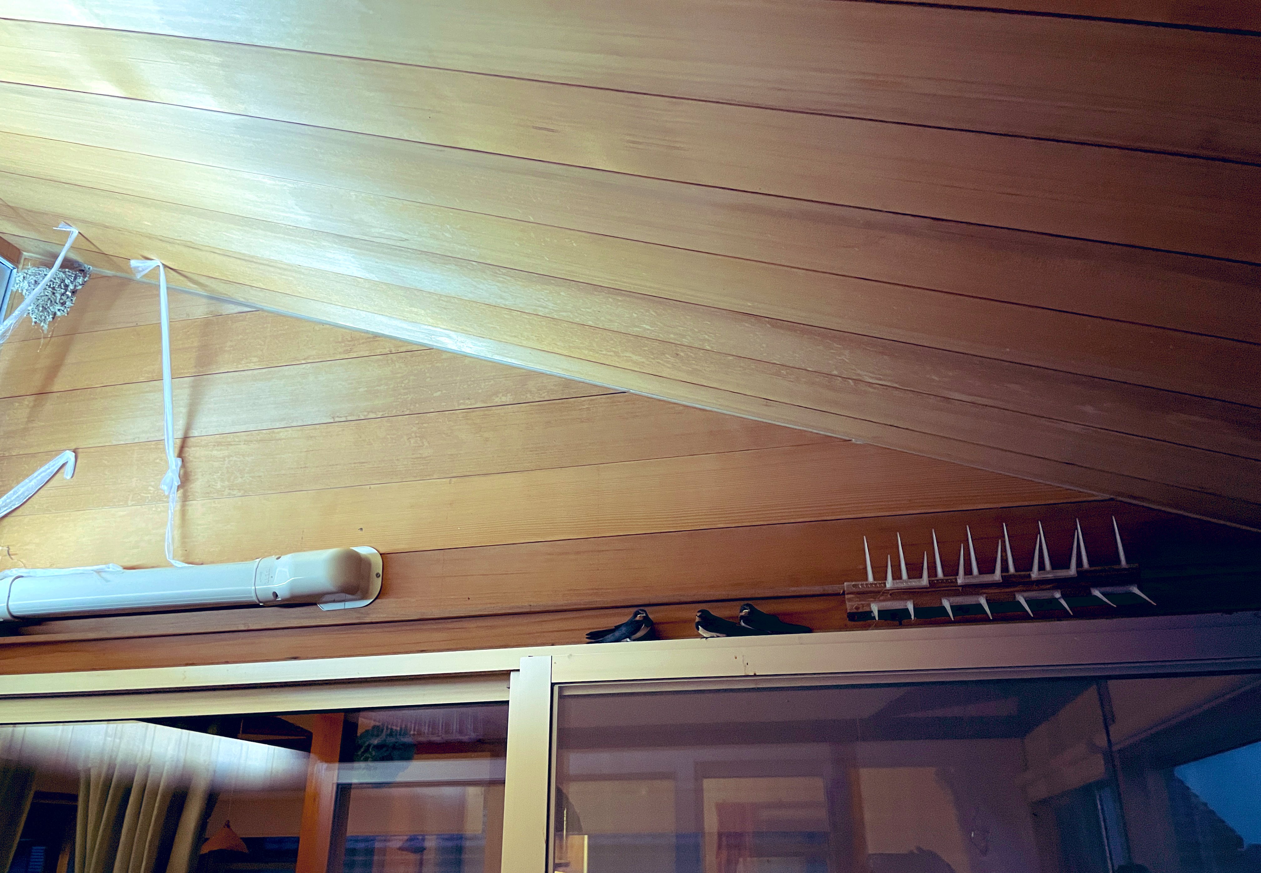 Tanabe Kyoko (@duokyuringyo) / X