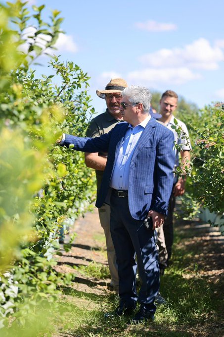 Sakarya’da 18 Dönümlük Blueberry Üretim Tesisi Ziyareti
