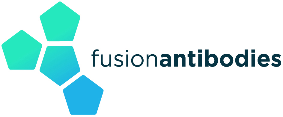 Walbrook PR (@walbrookpr) on Twitter photo ✅<a href="/FsnAntibodies/">Fusion Antibodies</a> (AIM: #FAB) will host two investor presentations
✔️ London investor event 17 Sep 2:30 pm
✔️ Proactive Investors event 9 Oct 6.00pm
One2One Investor Forum at the Chesterfield Mayfair, London
Please find links to register here: tinyurl.com/4mvjmy6v ✅<a href="/FsnAntibodies/">Fusion Antibodies</a> (AIM: #FAB) will host two investor presentations
✔️ London investor event 17 Sep 2:30 pm
✔️ Proactive Investors event 9 Oct 6.00pm
One2One Investor Forum at the Chesterfield Mayfair, London
Please find links to register here: tinyurl.com/4mvjmy6v