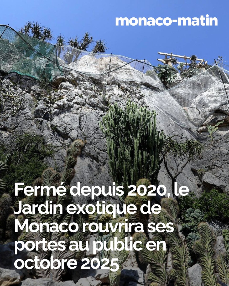 Ceux qui pensaient pouvoir réinvestir prochainement les allées du Jardin exotique devront attendre encore quelques semaines. Initialement annoncée pour la fin de l’été 2025, la réouverture du Jardin exotique a été repoussée…
👉 l.monacomatin.mc/jh