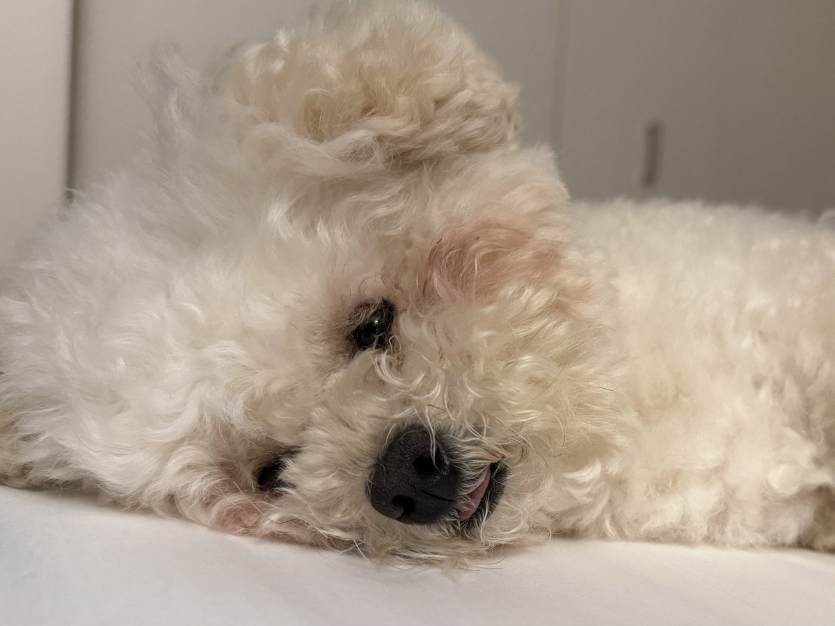 就寝前のお話タイム