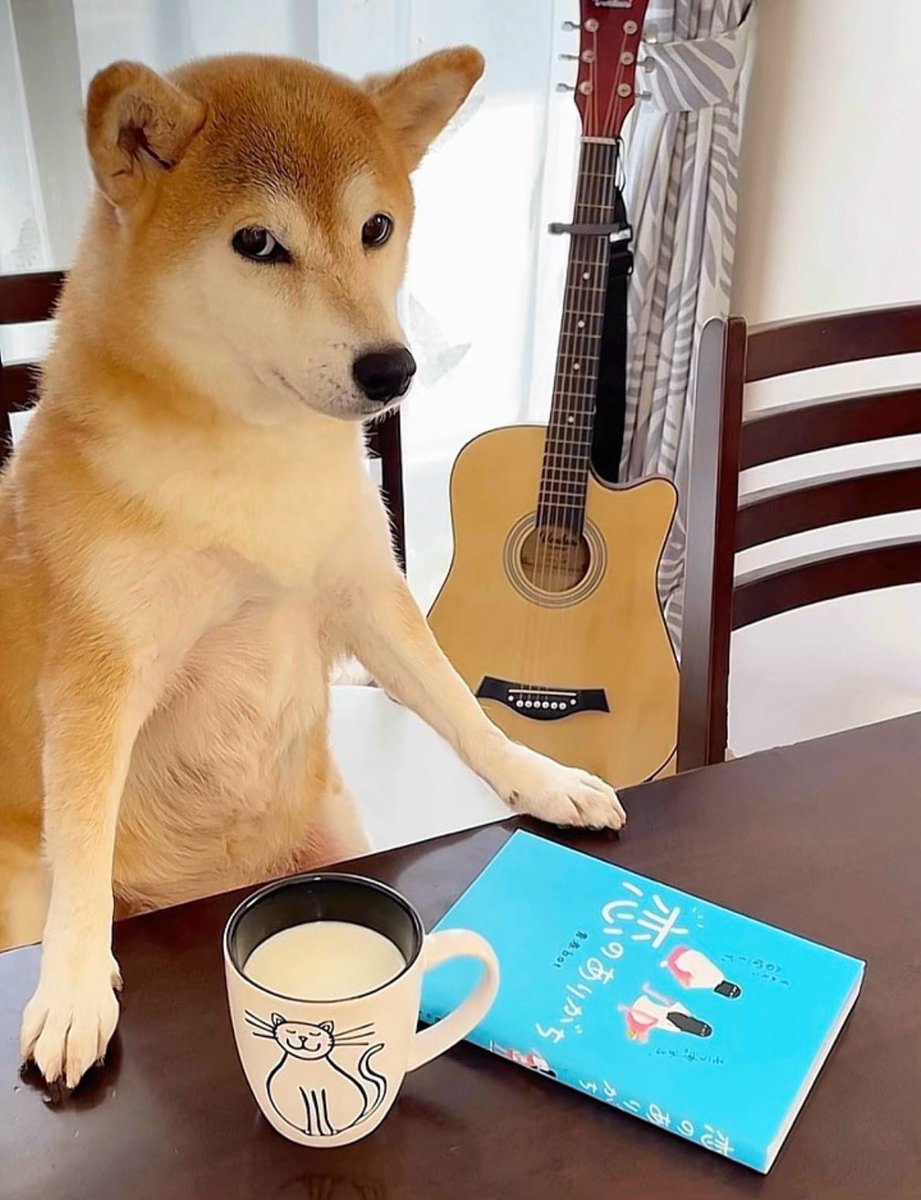 長めの恋バナしてきそうな顔やめて