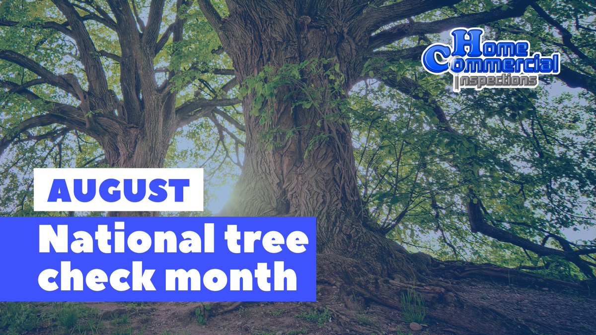 HCinspectors's tweet image. 🌳 It’s #TreeCheckMonth!
Trees = beauty 🌿 and potential property risk 💥

Roots, limbs, and hidden damage can cost you.
Schedule an inspection today — link in bio ✅

#HomeInspection #CommercialInspection #PropertyCare #ExteriorSafety #InspectionMatters