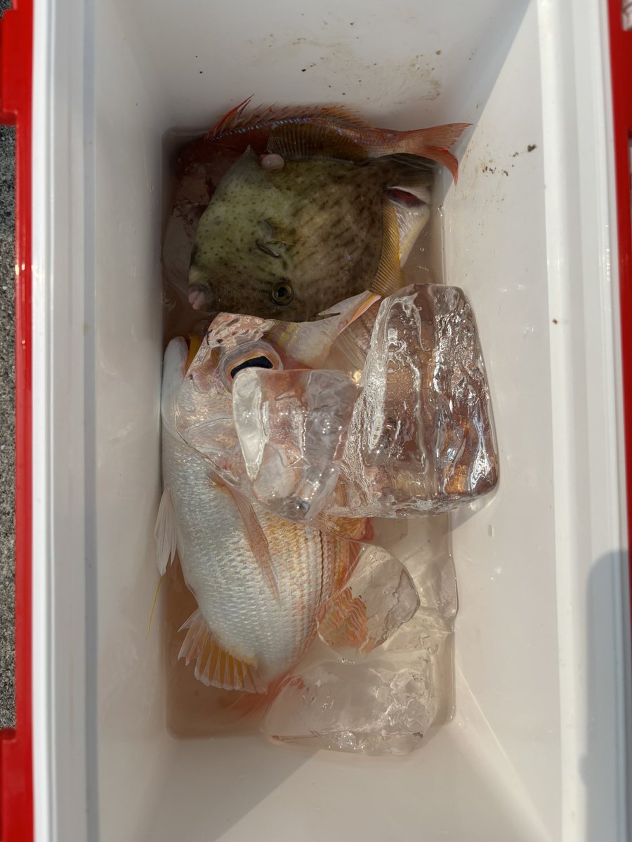夏の海は過酷でした🤢