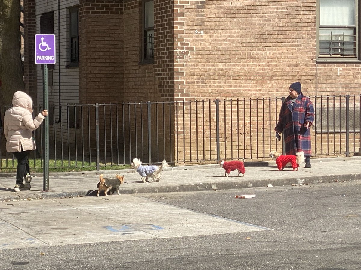 Giornata Mondiale del #Cane 

Amateli, proteggeteli, curateli,
scoprirete la vera felicità.