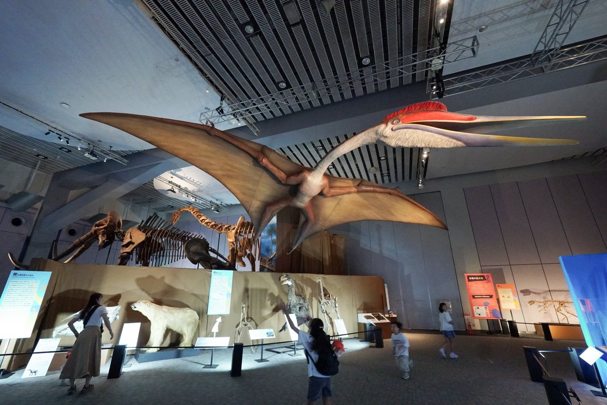 ♡巨大恐竜展familiarコラボ♡ ファミリアの恐竜コラボバックが可愛い！巨大恐竜展 | ディズニー