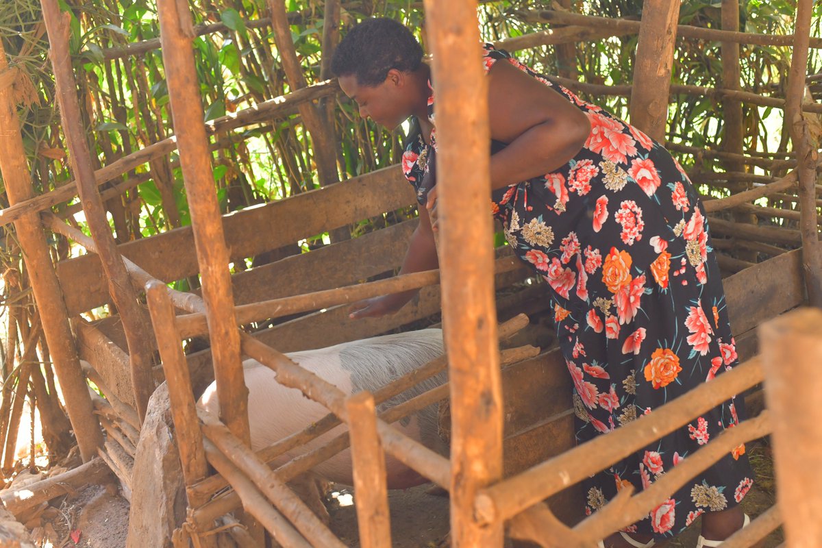 Community members in <a href="/rulindodistrict/">Rulindo District</a> are celebrating the positive impact of the Improved Natural Resources Management for Sustainable Food Sources (INRM) Project.

The project has supported environmental protection and restoration through establishment of community tree