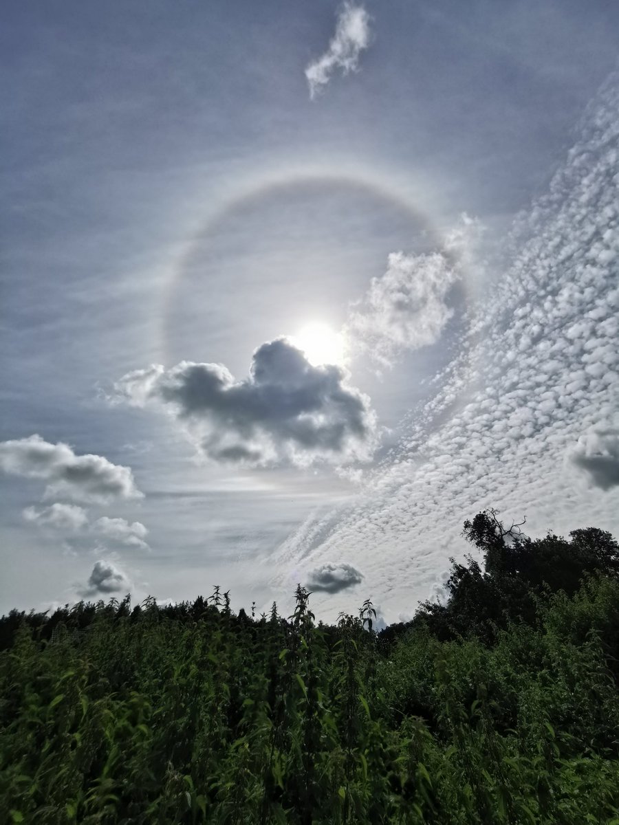 NideckaAnna's tweet image. Halo słoneczne
#Kaszuby #pogoda #siećobserwatorówburz