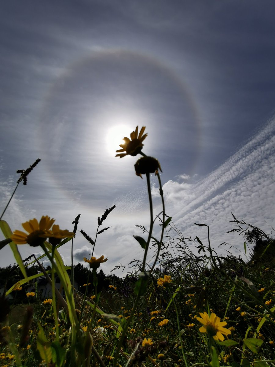 NideckaAnna's tweet image. Halo słoneczne
#Kaszuby #pogoda #siećobserwatorówburz