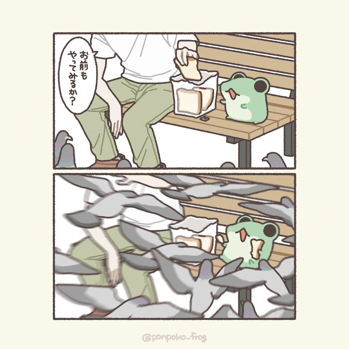 ただのかえるたち (@ponpoko_frog) on Twitter photo 