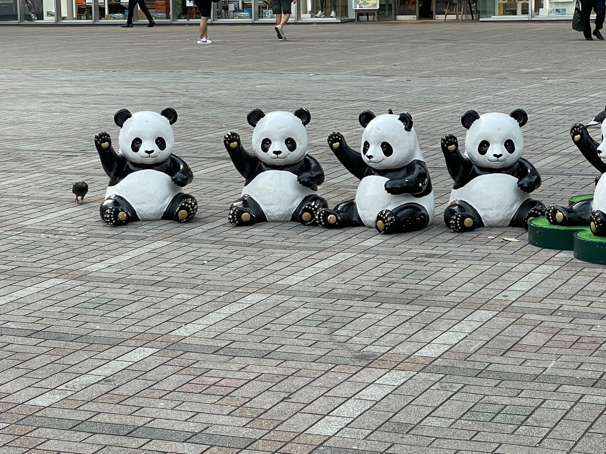 パンダ - Search / X