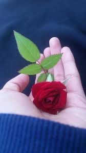 يتعافى المرء بـ أصدقائه..يجبرونك على وصلهم وان اخدتك واشغلتك الحياة …
#تحية و #حب 🫶🏻كبير لهم ….