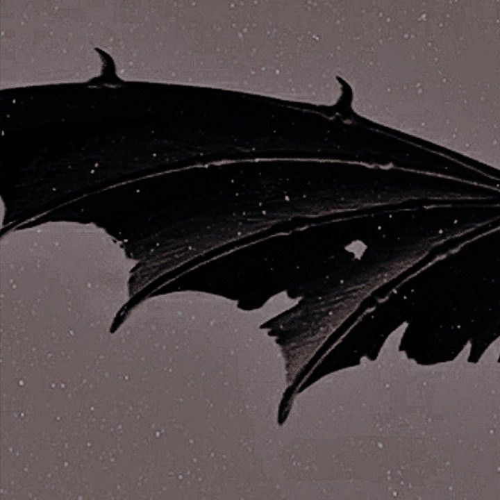 LUMlNOUSNlGHT's tweet image. 