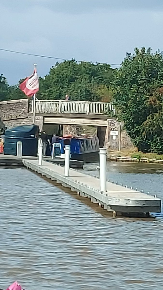 𝔻𝕒𝕧𝕚𝕕 𝔹𝕣𝕒𝕞𝕝𝕖𝕪 𝐧𝐛 𝐒𝐧𝐨𝐰𝐠𝐨𝐨𝐬𝐞 tweet media