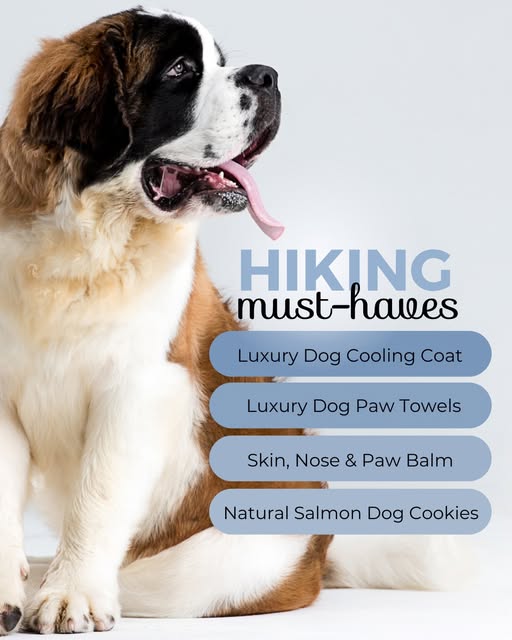 PawdawofLondon's tweet image. Hitting the trails with your pup?🥾🐾Don’t go unprepared!
Trail must-haves:
🧊 Cooling Coat for hot hikes
🐾 Paw Towels for mud &amp;amp; dips
🌿 Paw Balm for rough terrain
🍪 Salmon Cookies for energy
Read our full hiking guide👉 pawdawoflondon.com...
#HikingWithDogs #AdventureDogs