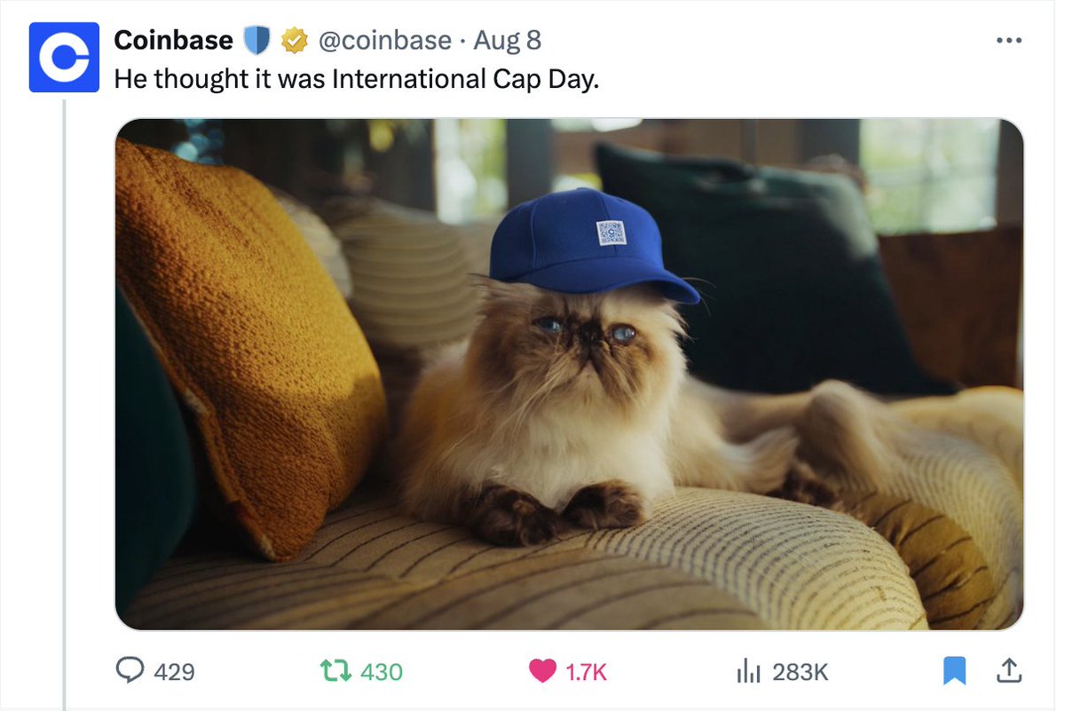 filskii 😼⚡️ tweet media