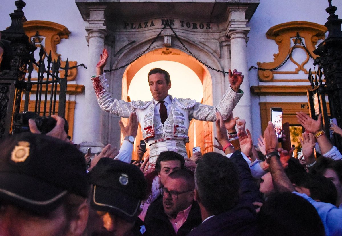 Esto no va de gustos. Va de recompensar lo que se hace en la cara de los toros.

David de Miranda debería estar puesto en todas las plazas y no va a coger una mísera sustitución. 

Y ya ni hablamos de mirar al futuro con Daniel Crespo, Jarocho o Mario Navas, entre muchos otros.