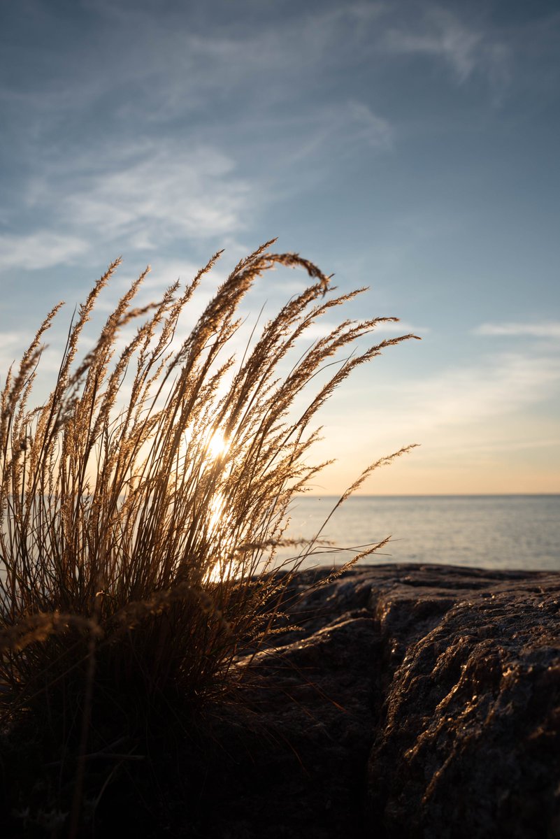 <a href="/livingarts_eth/">𝐒𝐚𝐜𝐡𝐢𝐧 📸🎨</a> <a href="/SkurpySocial/">Skurpy</a> <a href="/objktcom/">objkt</a> Awesome =) "The Warmth of Your Love" 1/1 objkt.com/tokens/open_ob…
Tags <a href="/voidformmeta/">Goli</a> <a href="/BaharKasrood22/">Bahar🤍</a> and <a href="/zahra_arte/">ZAHRA_ARTE</a> Have a great day =)