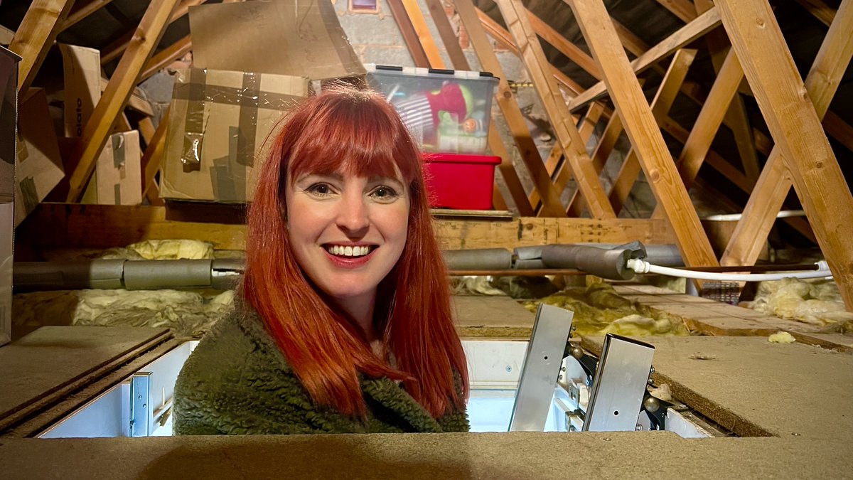 DCD Rights Ltd tweet media