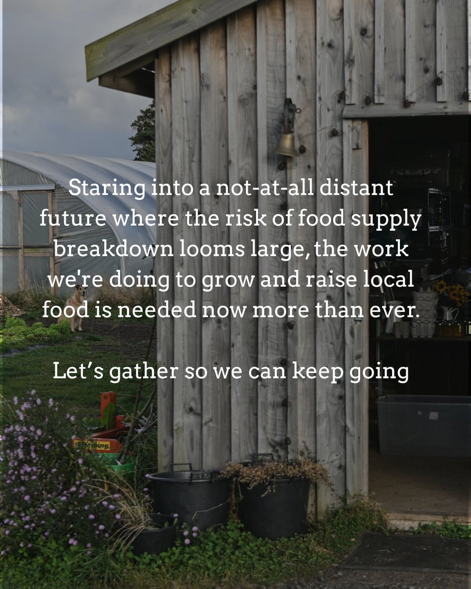 CSA Network UK tweet media