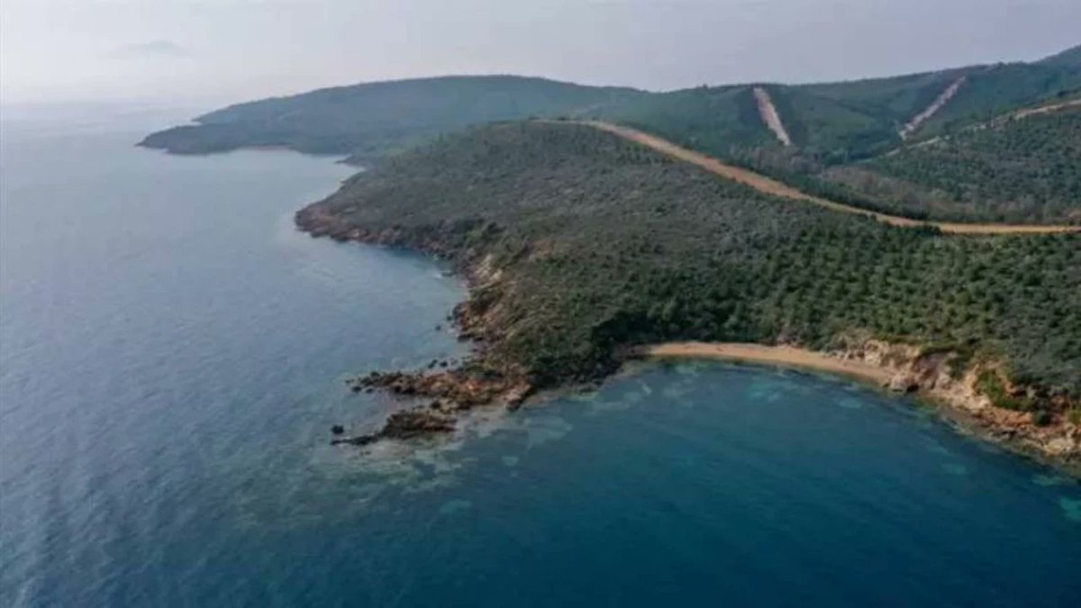 Ormanlık alanlarda madenciliğe izin veren yönetmeliğe karşı dava açıldı

🟥 Resmi Gazete’de yayınlanan yönetmelik değişikliğiyle, orman alanlarında madencilik faaliyetlerini kısıtlayan maddeler yürürlükten kaldırıldı. Avukat Mehmet Ümit Erdem, değişikliğin Anayasa’ya aykırı