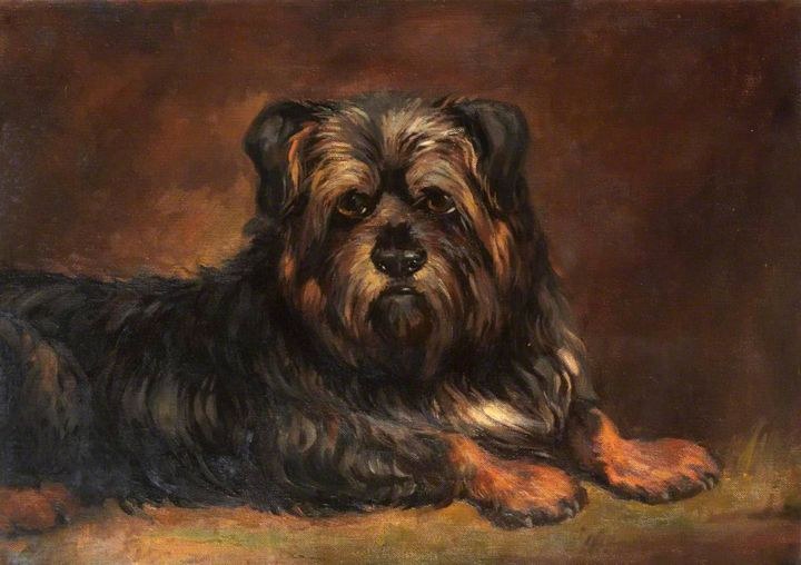 Happy National Dog Day from the #cityartcentre
#dog #internationaldogday
Here's a cute furry friend by an unknown painter, reputed to be Greyfriars Bobby!